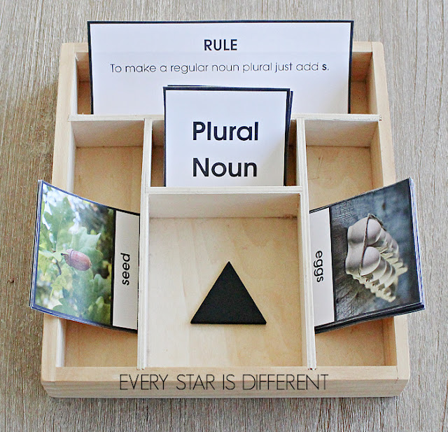 Montessori Grammar: Plural Nouns Sort