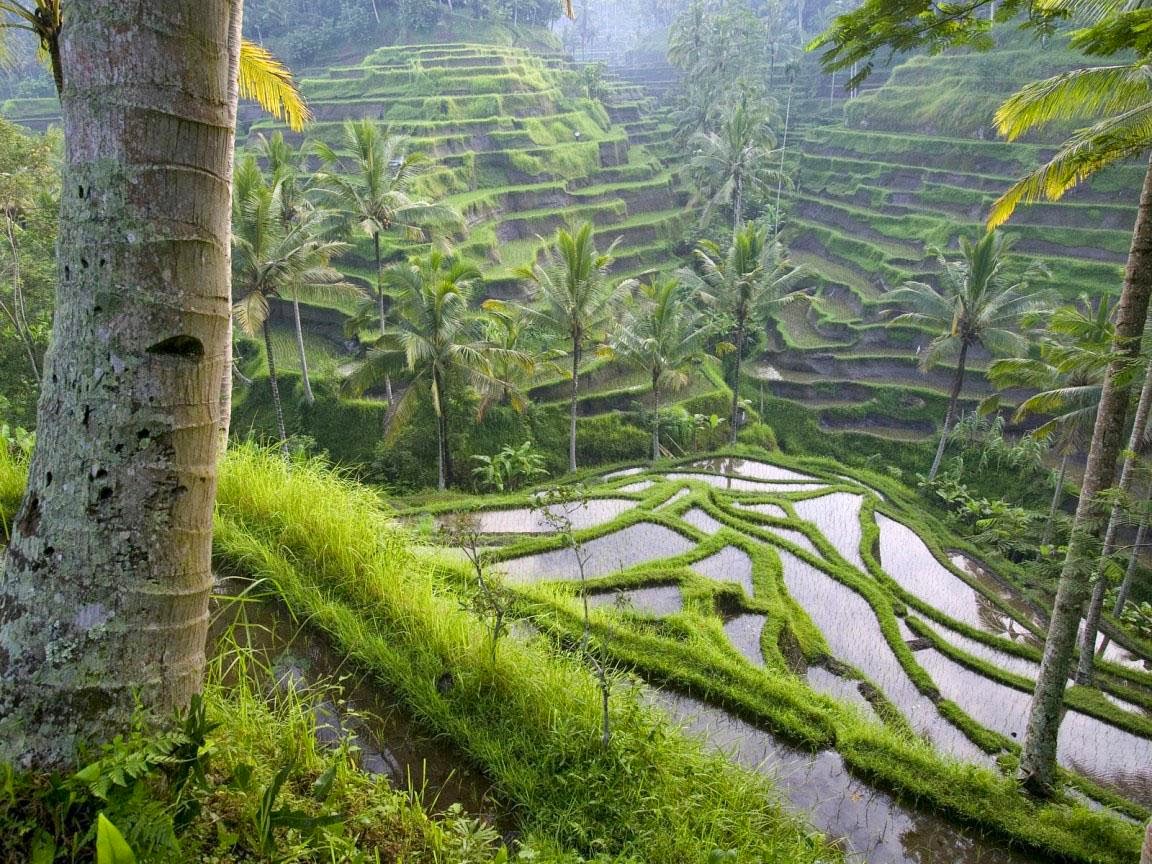 Pemandangan Indah Di INDONESIA