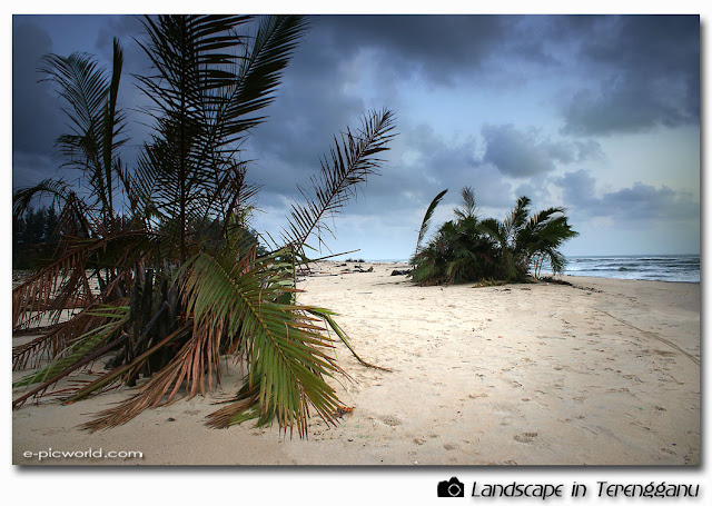 pantai kuala ibai picture