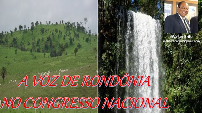 A voz de Rondônia no Congresso Nacional