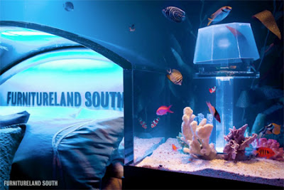 apakah anda pernah memikirkan bagaimana anda akan mendekorasi ruangan yang ada didalam ru desain kamar tidur dengan interior aquarium