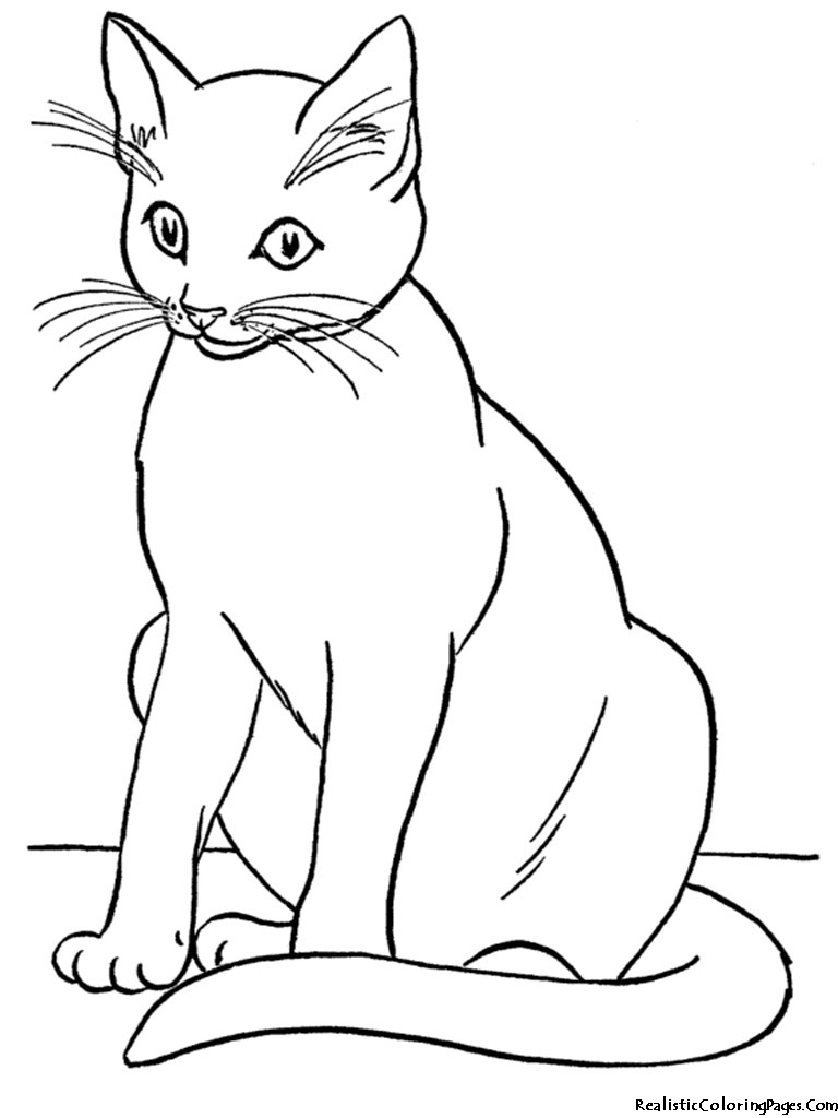 Realistic Coloring Pages Of Cats  Realistic Coloring Pages