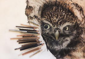 03-Owl Chick WIP-Robin-Gan-Realistic-Color-Pencil-Animal-Drawings-www-designstack-co