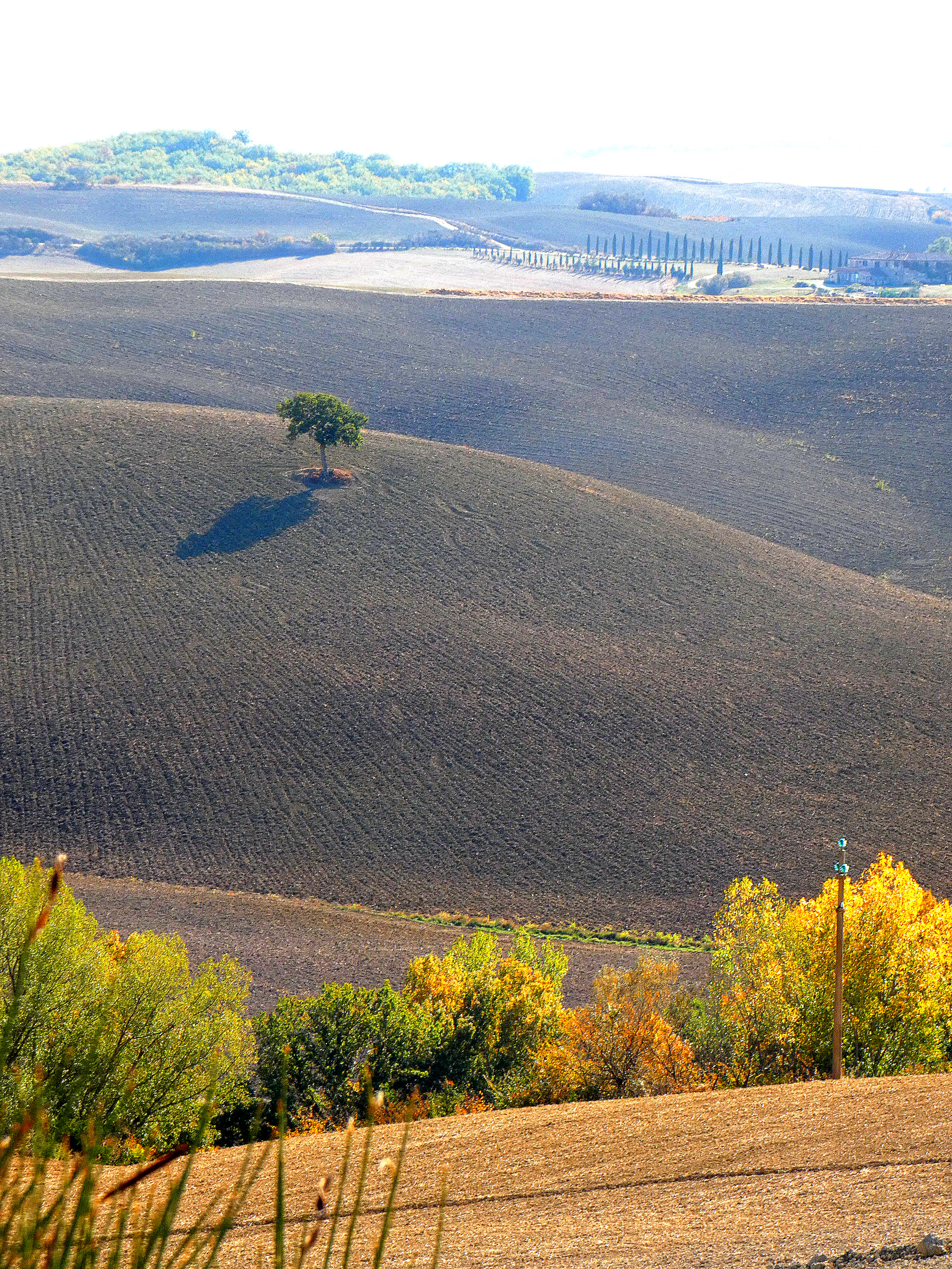 The rolling hills of Tuscany's Crete Senesi in Autumn