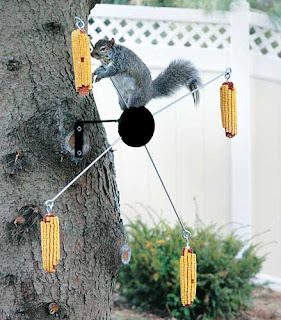 Twirl Squirrel Cobs Spinner