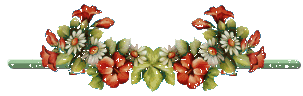 !BARRA