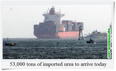 53,000 tons of imported urea to arrive today