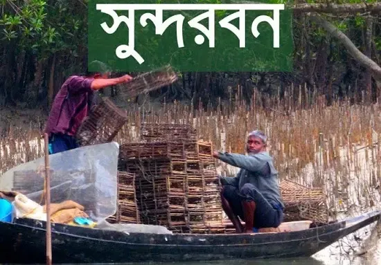 সুন্দরবন