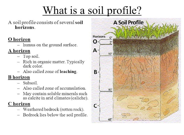 ອົງ​ປະ​ກອບ​ຂອງ​ດິນ Soil composition