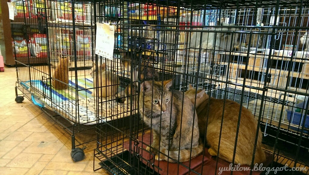 J Jay Pet Station