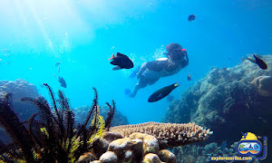 underwater wisata pulau pramuka