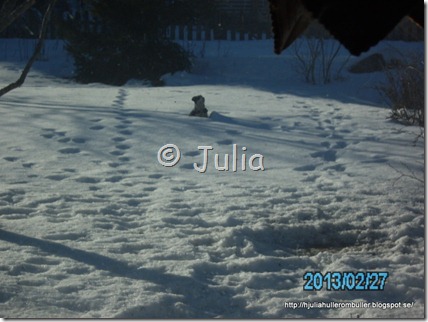 PICT1049
