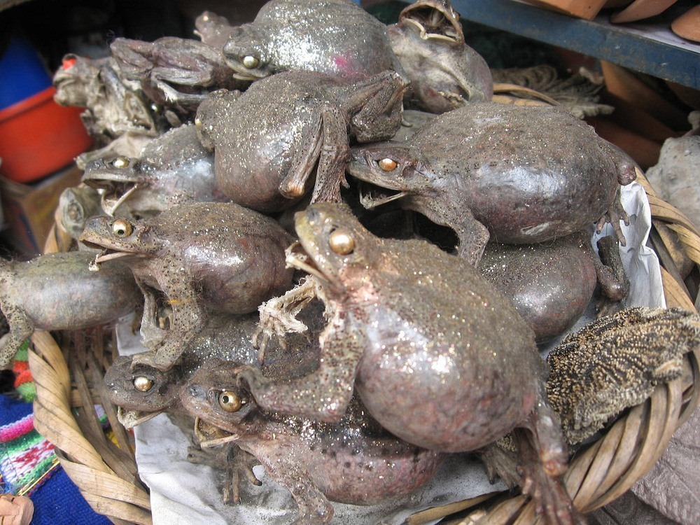 la-paz-witches-market-4