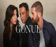 Telenovela Gonul