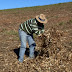 Garantia-Safra é liberado para agricultores do RN