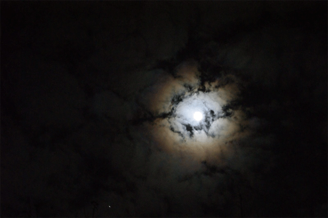 moon clouds night movement wind