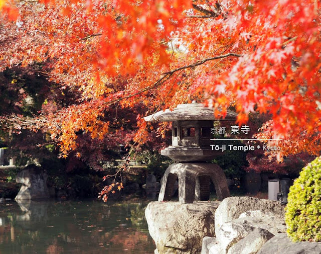 [京都] 東寺の紅葉
