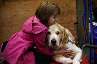 Setzen Sie einen Hund zum Schlafen Eine der härtesten Entscheidungen, die Sie jemals treffen werden