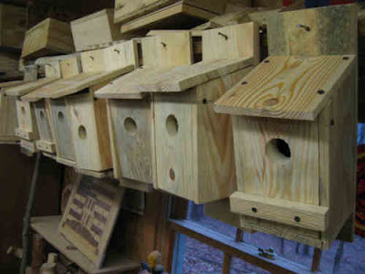 Woodshop Christmas Project #1- Birdhouses (part 1) Wood Trails 