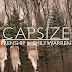 Frenship & Emily Warren - Capsize Lyrics