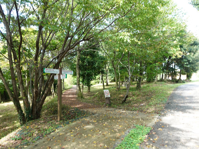 むきばんだ史跡公園の弥生の森