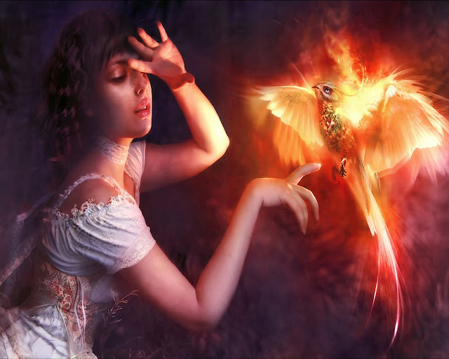 flame bird,fantasy art,5 stars 