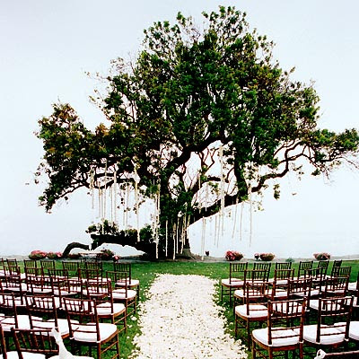 Outdoor Wedding Ceremony Decorations Ideas