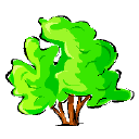 A tree story: Nov 18, 2009