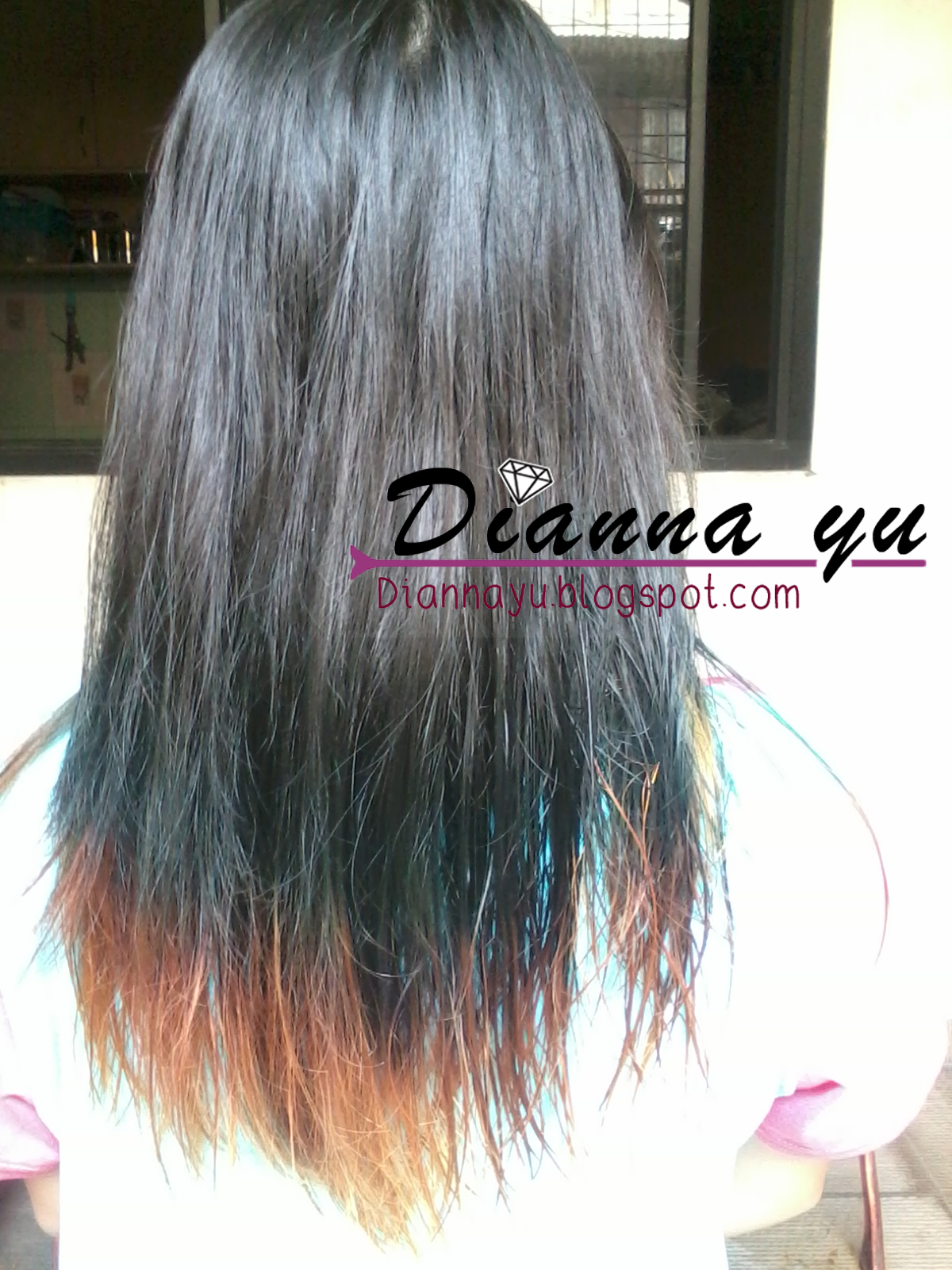 DIY REVIEW Yuk Ombre Hair Di Rumah Dianna Yu