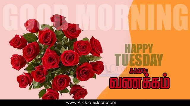 Happy Tuesday Images Tamil Good Morning Greetings HD Wallpapers Best Subhodayam Subhakamkshalu Tamil Quotes Pictures