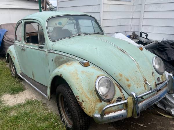 1966 VW Beetle Project For Sale