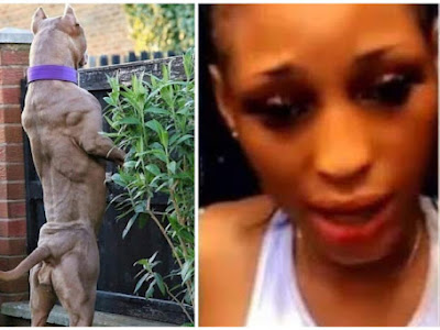 BREAKING! Nigerian Lady Who Slept With Dog For N1.5 Million In Viral Video Is Dead