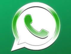 WhatsApp Transparent