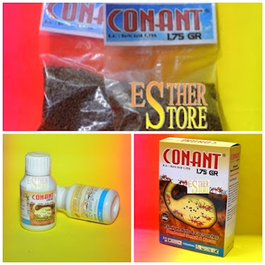 Conant 1,75 GR Umpan Kecoa Semut