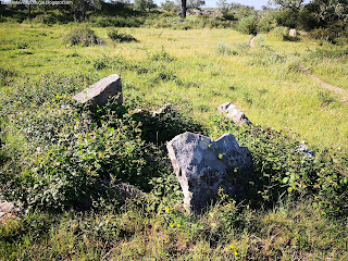 MENHIRS / Parque Megalitico dos Coureleiros, Castelo de Vide, Portugal