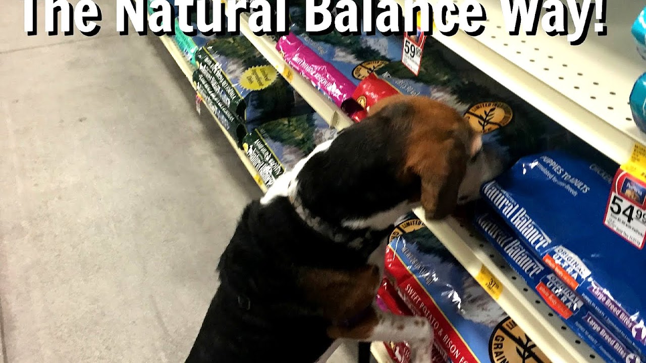 Who Makes Natural Balance Dog Food