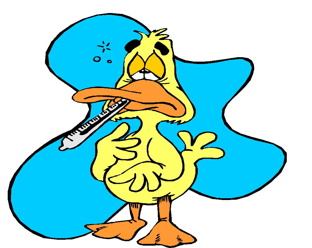 https://jimvysechickenchat.wordpress.com/2014/08/07/duck-first-aid-tips-part-one/