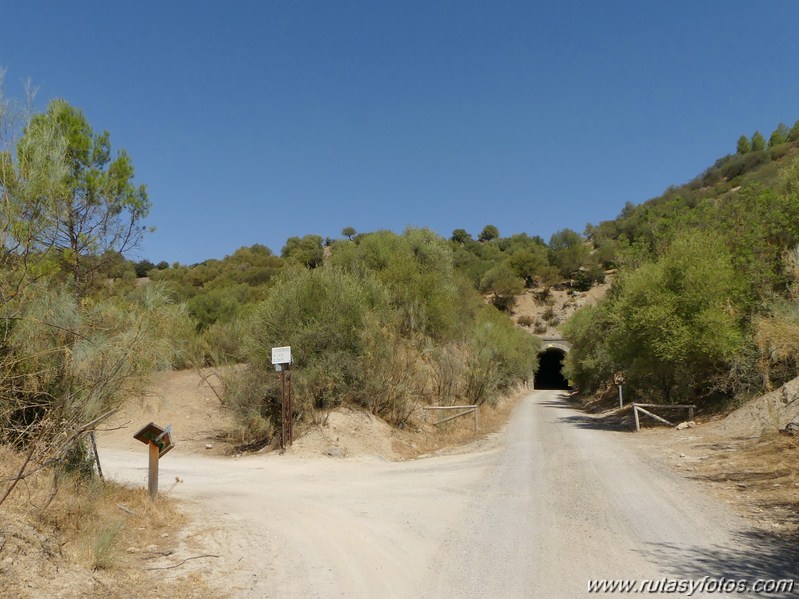 Via Verde de la Sierra: Puerto Serrano - Olvera