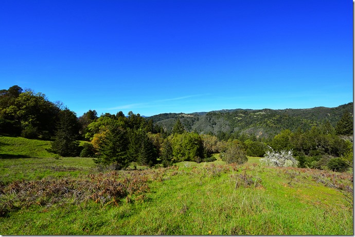 Austin Creek View
