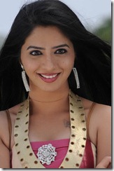 actress nisha latest hot photos