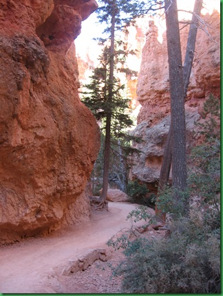 Navajo & Queens Garden trails 060
