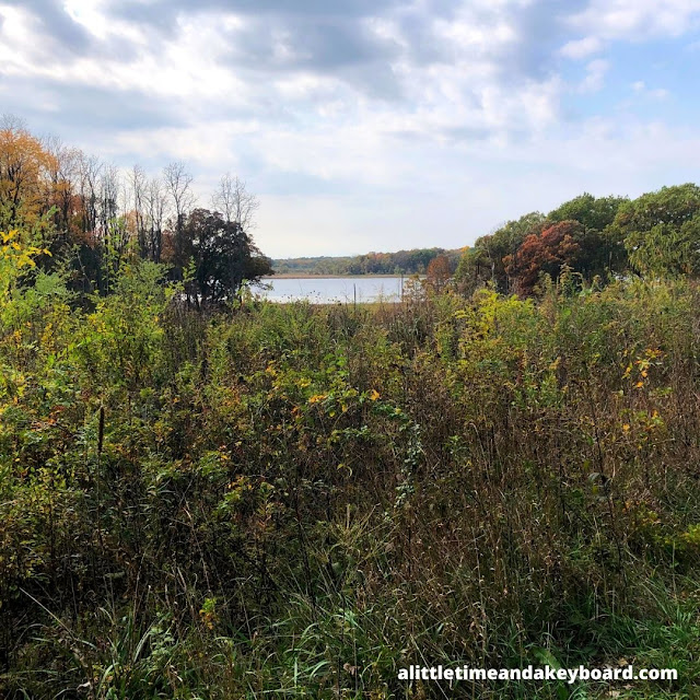 Peeking at Lake Defiance a glacially created lake in McHenry, Illinois.