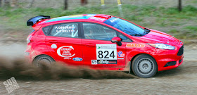 Team O'Neil Rally Fiesta - Cameron Steely