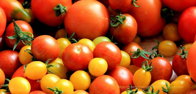 Image_Tomatoes