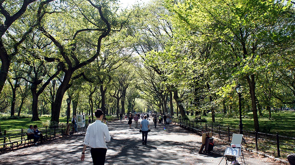 Square & Orchid -  NYC part 2, The Mall Central Park