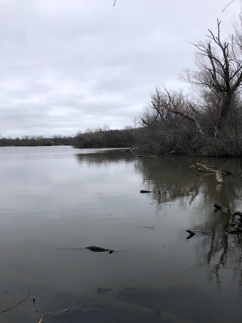 Mallard Lake provides a tranquil spot to view birds.