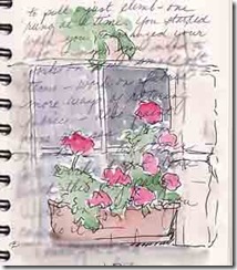 shellys geraniums in journal