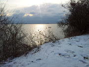 Snow in Copenhagen, Valby Parken