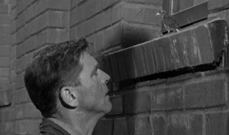 L'uomo di Alcatraz 1962 film intero