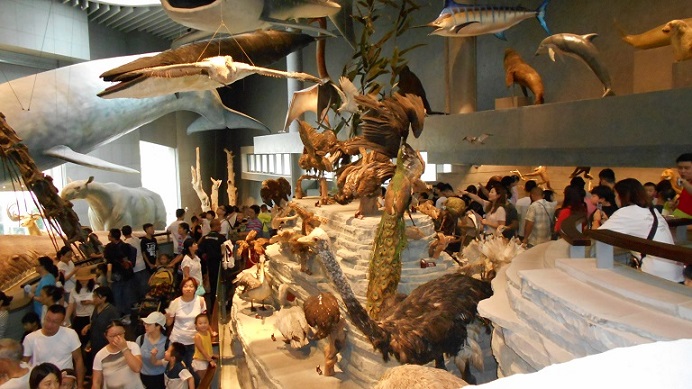 上海自然博物館大型展示品